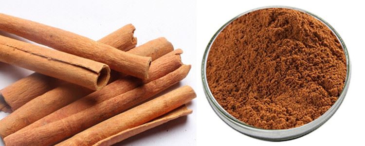 Cinnamon+ extract