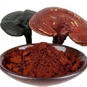 破壁靈芝孢子粉
