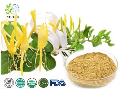 金銀花提取物