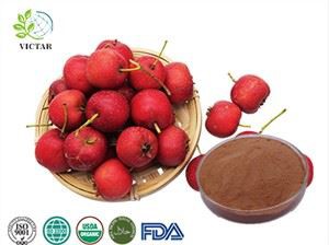 山楂漿果提取物